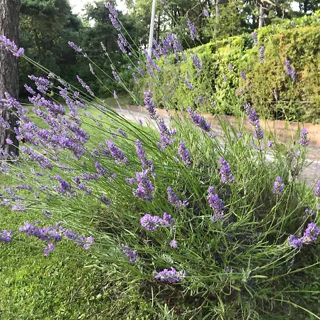 Il Paradiso Del Relax House In The Langhe - Panoramic View Vila