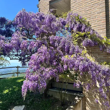 Il Paradiso Del Relax House In The Langhe - Panoramic View Villa *