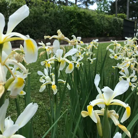 Il Paradiso Del Relax House In The Langhe - Panoramic View * Lequio Berria