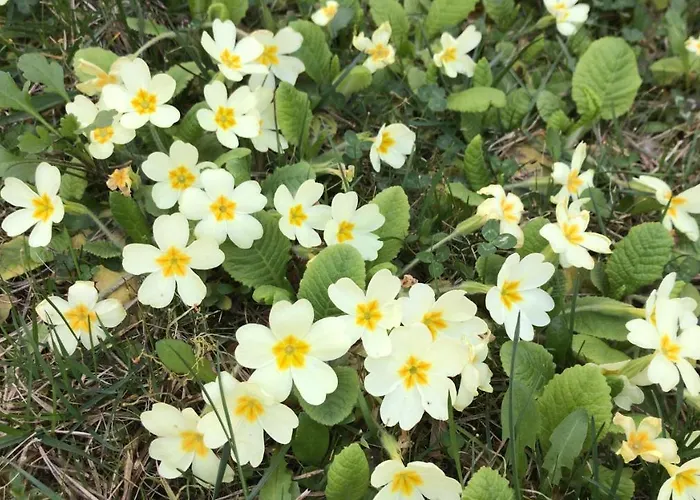 Il Paradiso Del Relax House In The Langhe - Panoramic View