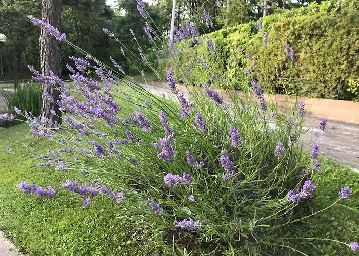 Il Paradiso Del Relax House In The Langhe - Panoramic View Willa