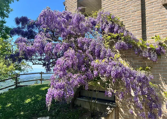 Il Paradiso Del Relax House In The Langhe - Panoramic View Willa *