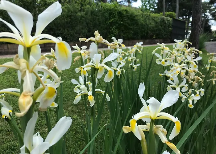 Il Paradiso Del Relax House In The Langhe - Panoramic View * Lequio Berria